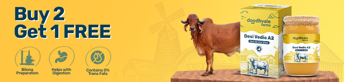 shudh bilona cow ghee