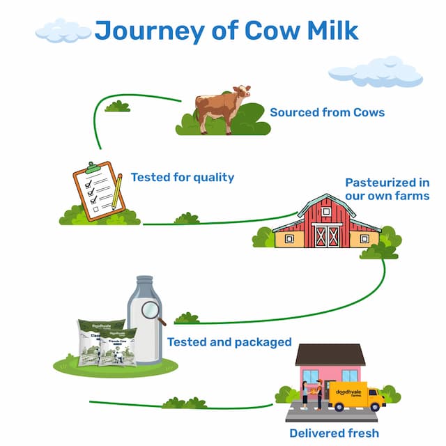 Buy Classic Cow Milk