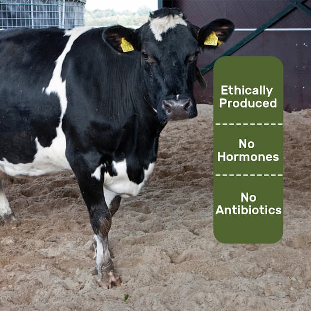 Buy Classic Cow Milk