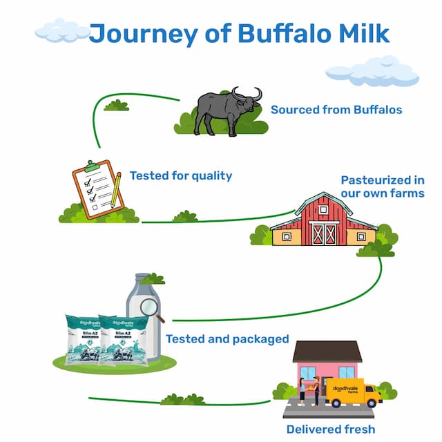 Buy Slim A2 Buffalo Milk