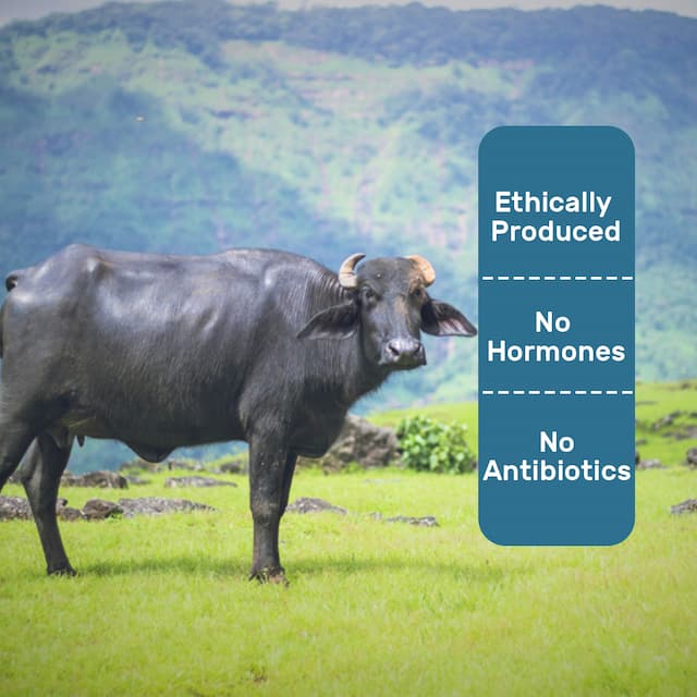 Buy Buffalo A2 Milk