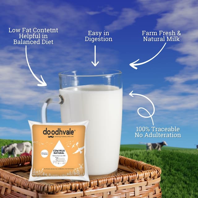 Buy Cow Milk Natural Starter Pack