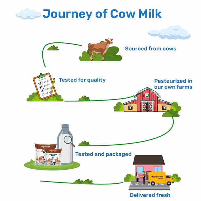 Buy Cow Milk Lite