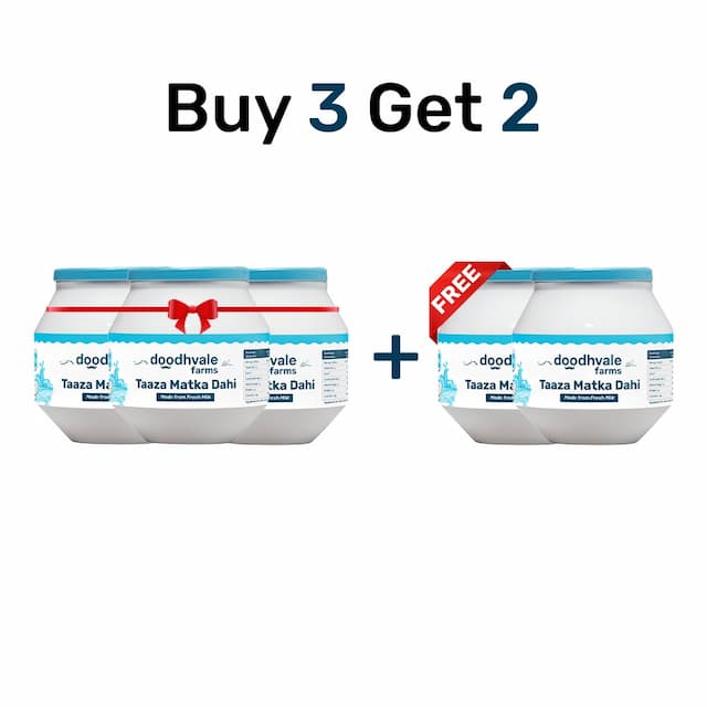 Buy Buy 3 Get 2 Taaza Matka Dahi