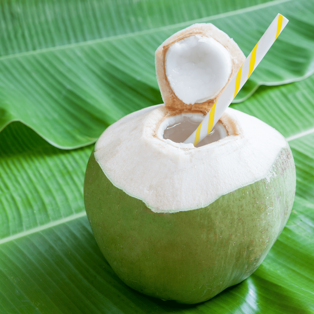 Buy Tender Coconut