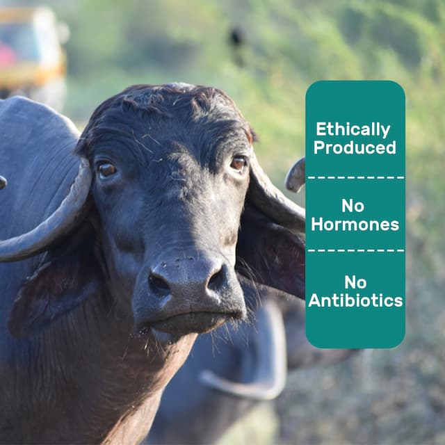 Buy Slim A2 Buffalo Milk