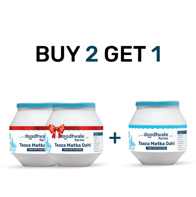Fresh Buy 2 Get 1 Taaza Matka Dahi Online
