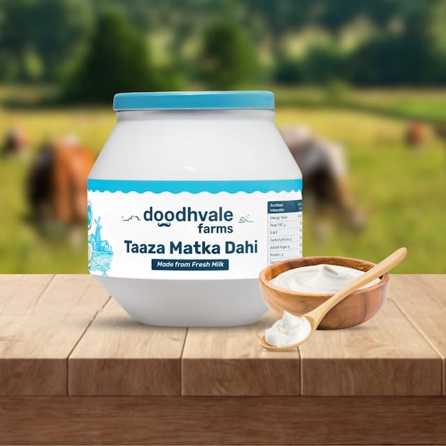 Buy Taaza Matka Dahi