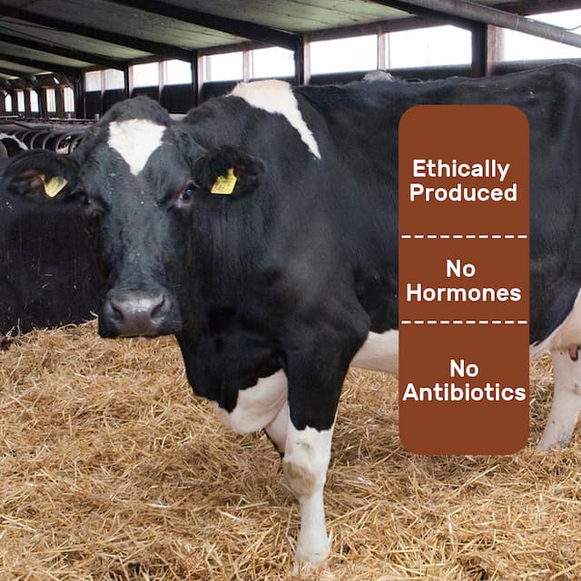 Buy Cow Milk Lite