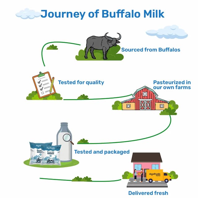 doodhvale farms Buy Royal A2 Buffalo Milk