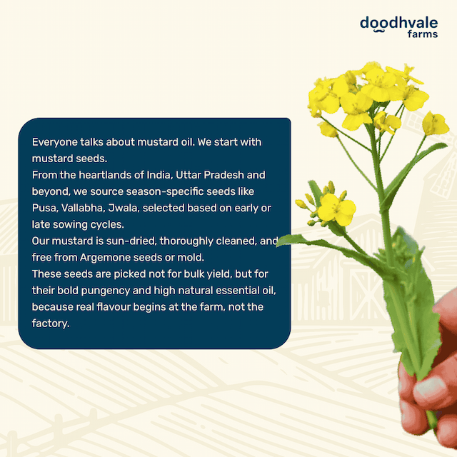 doodhvale farms Buy Black Mustard Oil - Cold Pressed